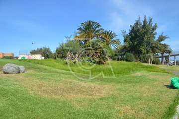 Intervención en la pradera pública de césped de Las Remudas (Foto TA)